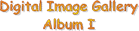 Digital Image Gallery Album I